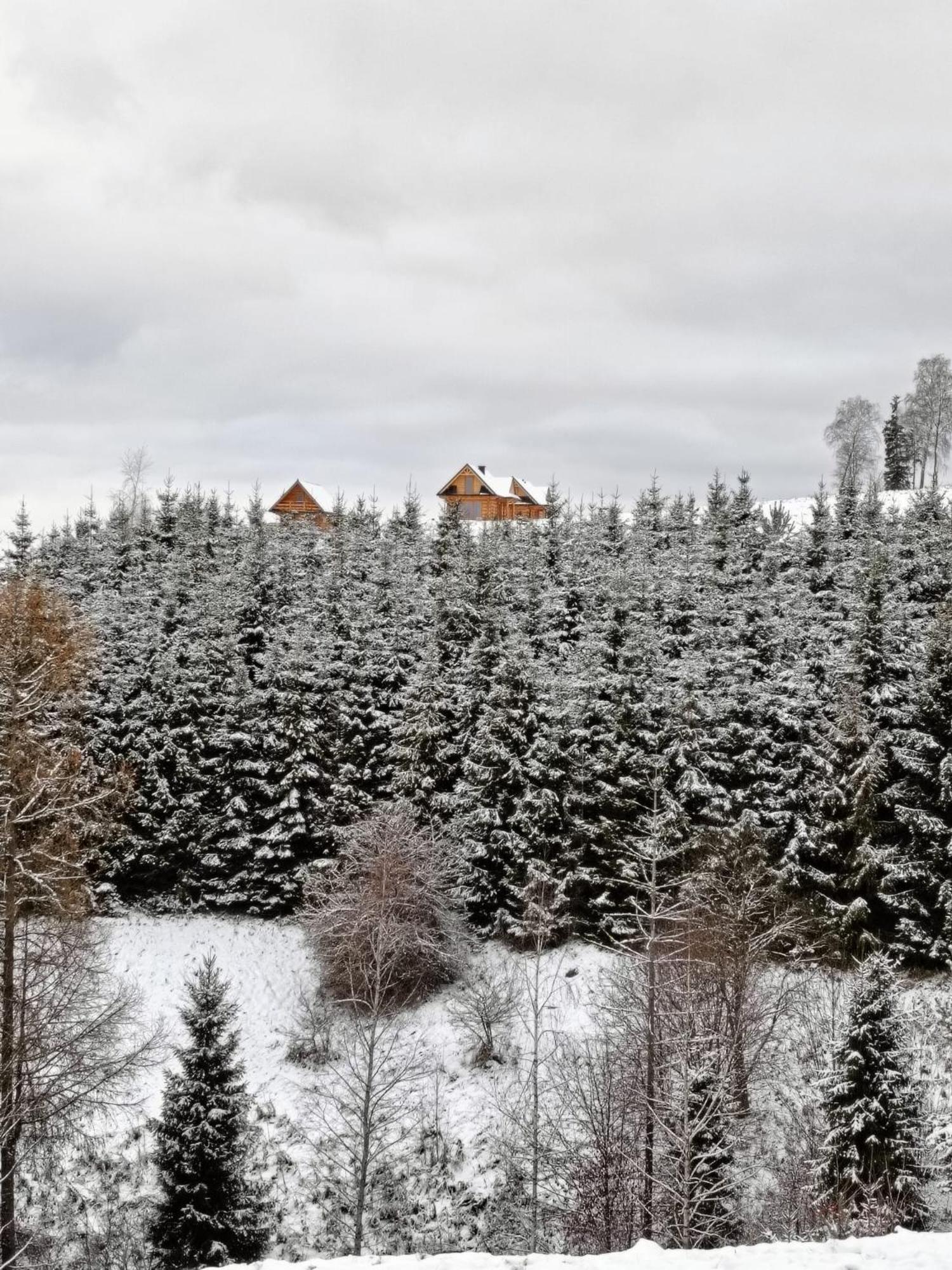 Talarowka Villa *